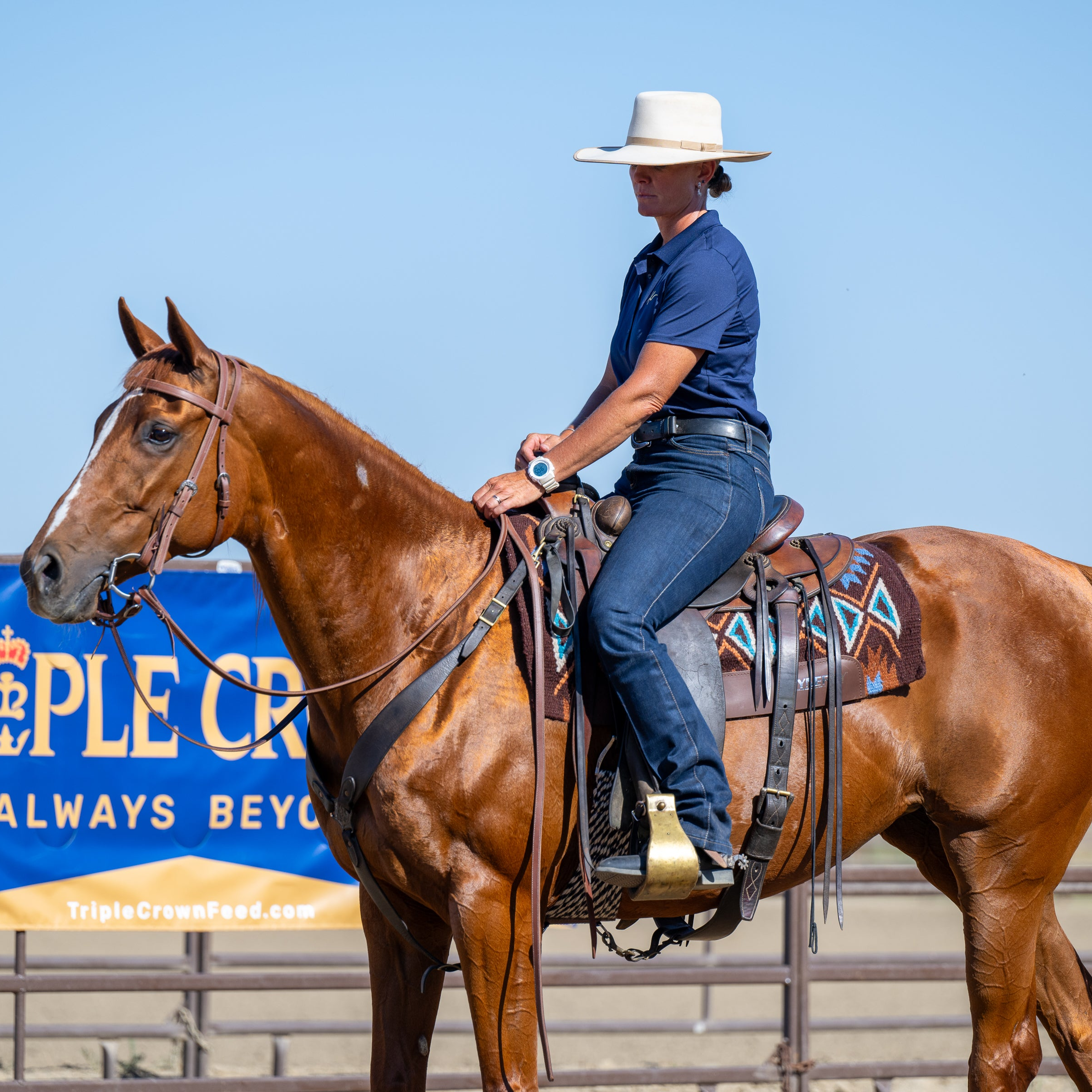 OTTB Transitional Training