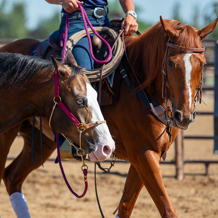 Riding Advanced
