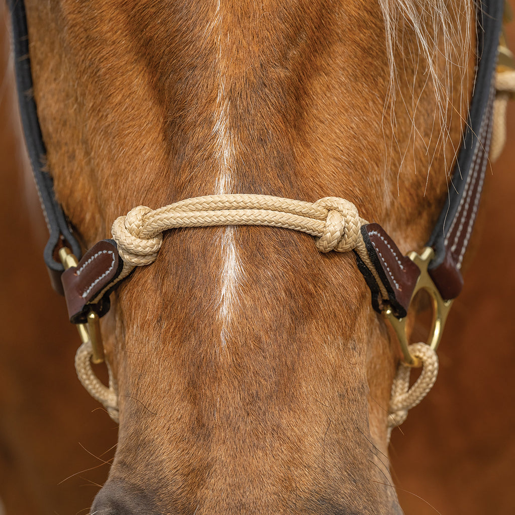 Kalley Krickeberg Leather & Rope Combination Horseman's Halter