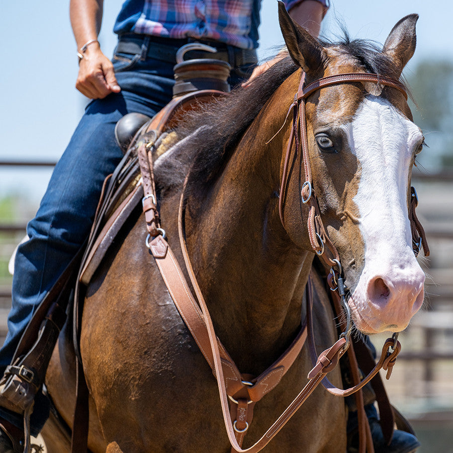 Monthly Riding Membership