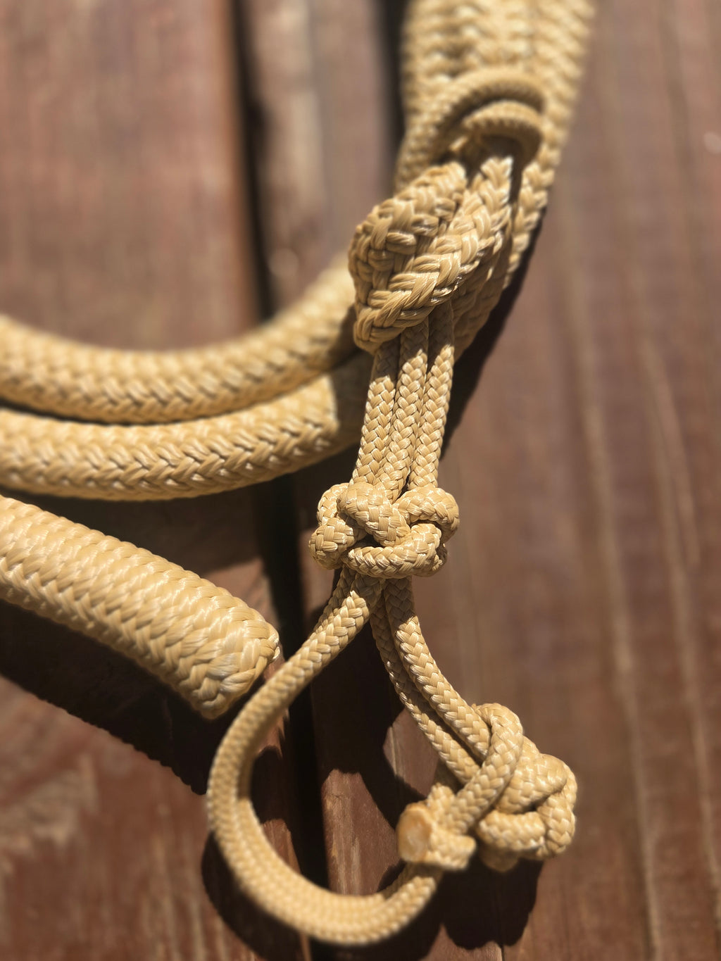 8' Lead Rope with a Rope Snap