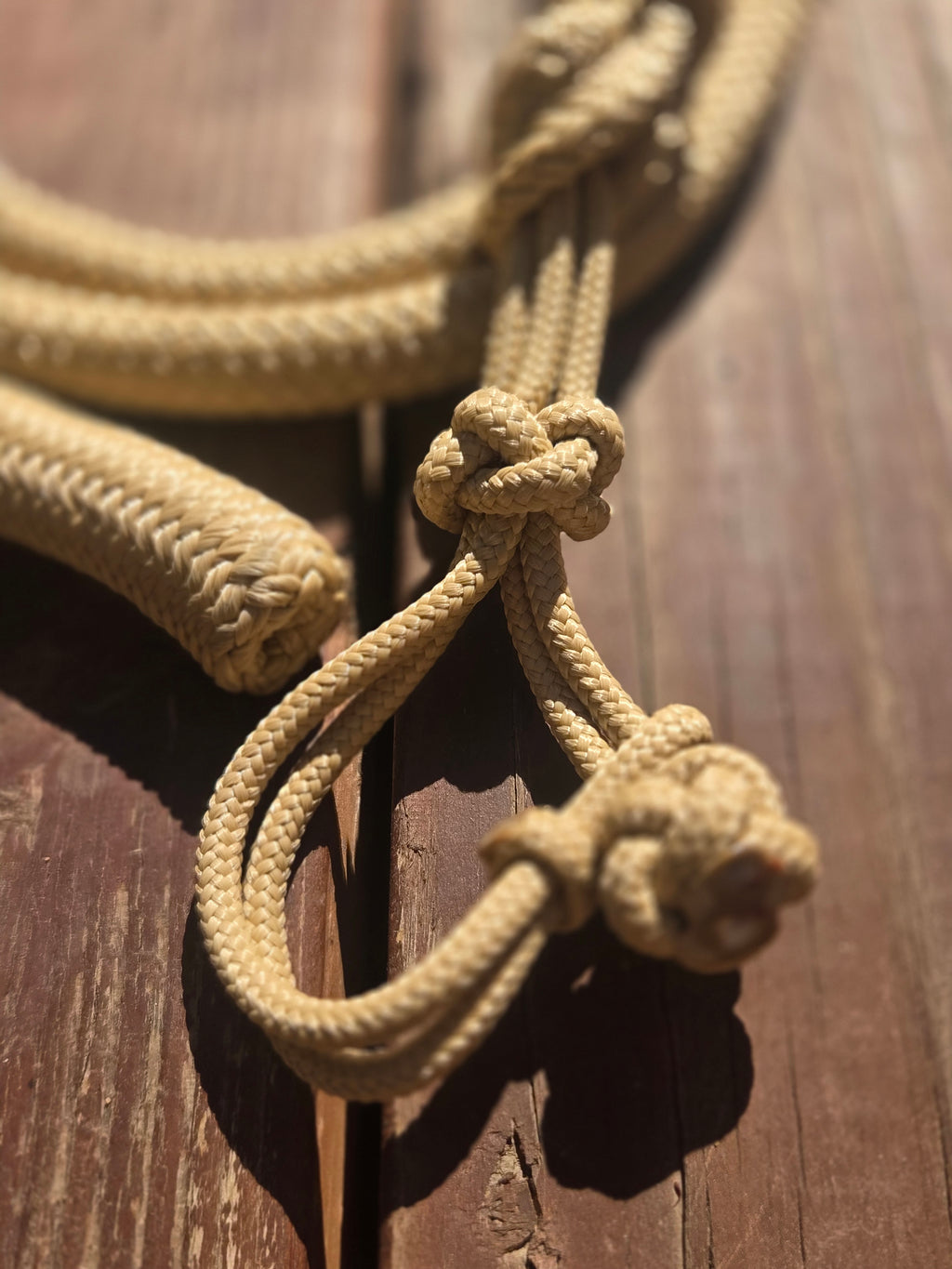 8' Lead Rope with a Rope Snap