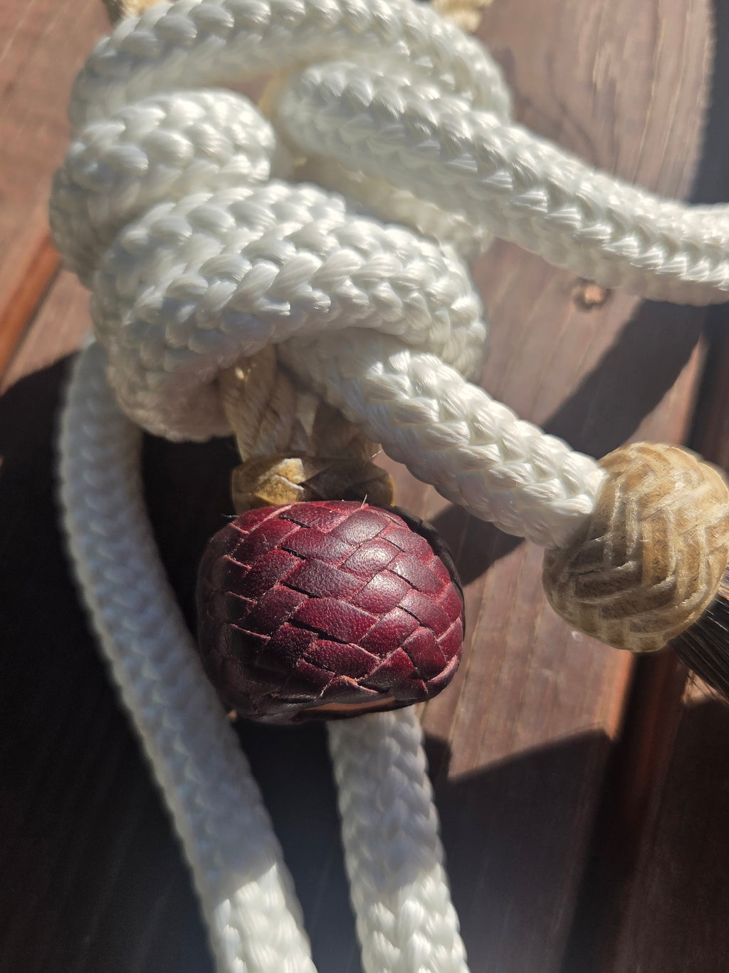 The "Elidio" Hackamore with Treeline Rope Mecate