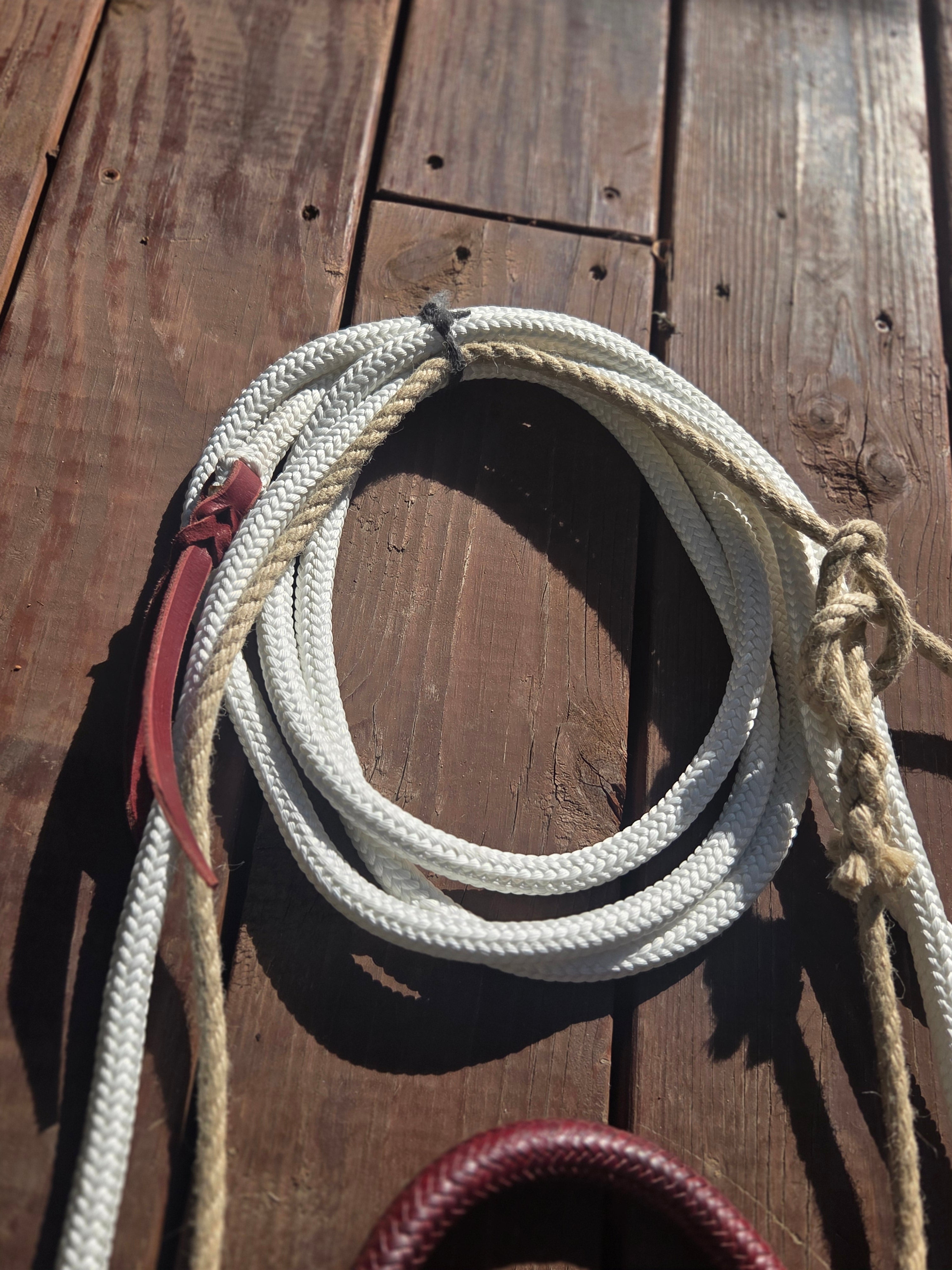 The "Elidio" Hackamore with Treeline Rope Mecate