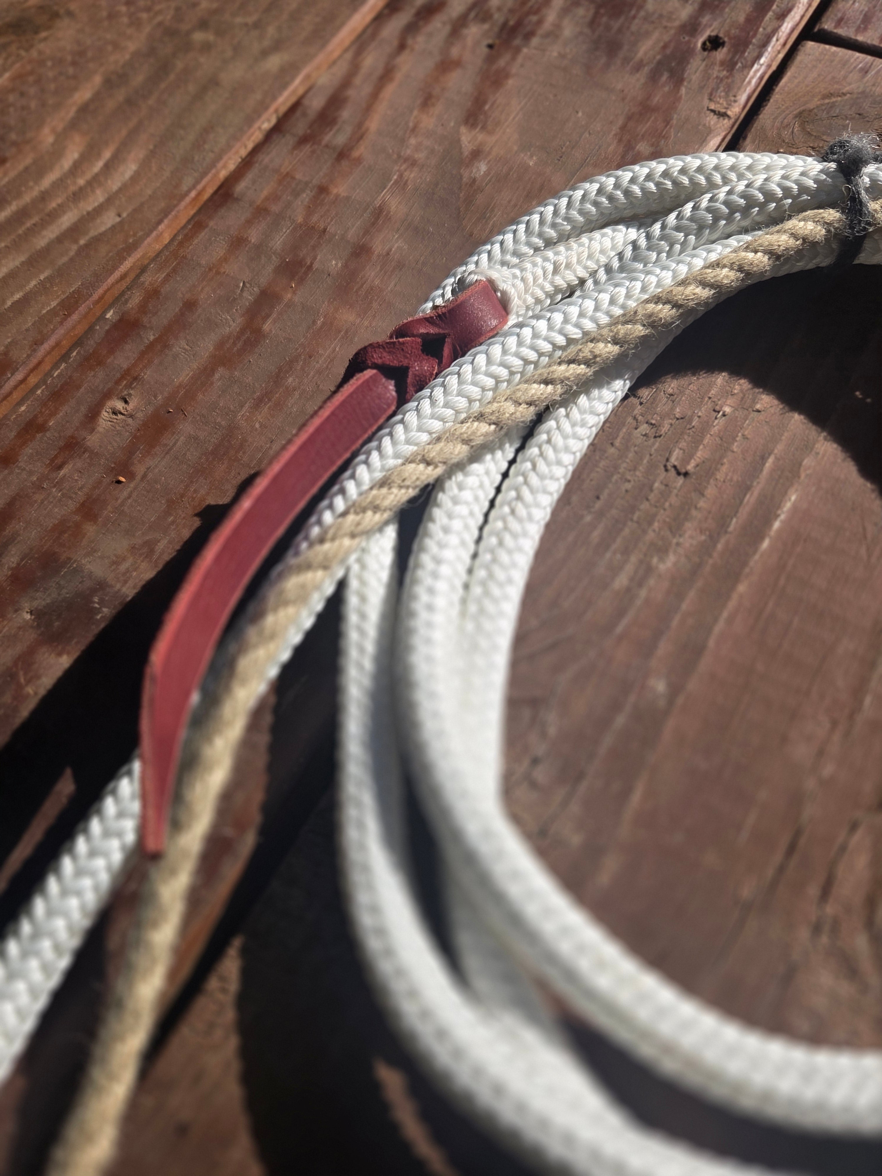 The "Elidio" Hackamore with Treeline Rope Mecate