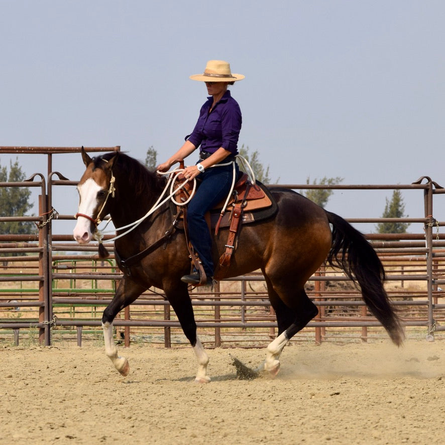 New Boston, Michigan Clinic