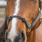 Kalley Krickeberg Breakaway Horseman's Halter, Nylon, Leather & Rope Combination Horse Halter