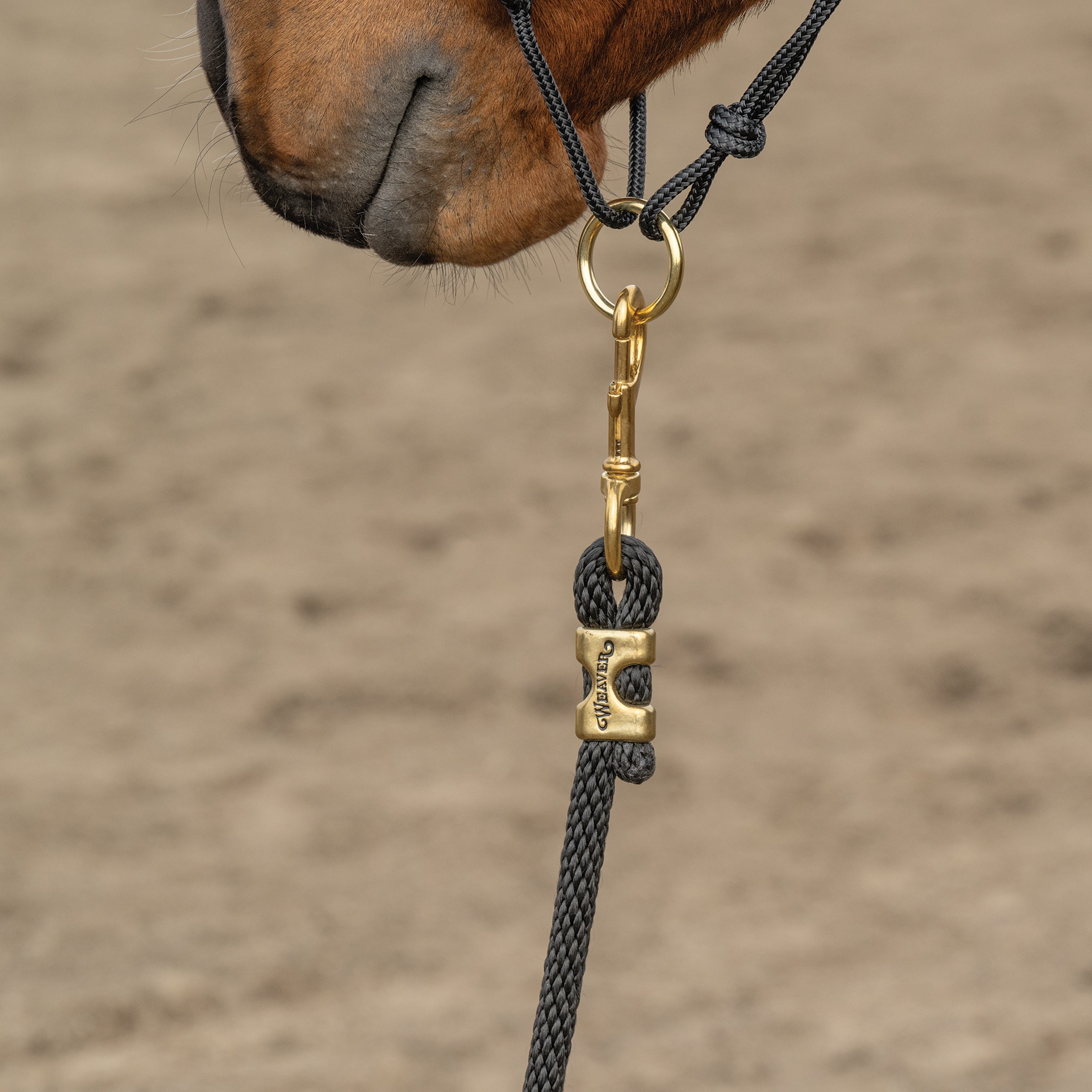Kalley Krickeberg Breakaway Horseman's Halter, Nylon, Leather & Rope Combination Horse Halter