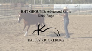 Advanced Ground, On-Line: Knot Neck Rope at Distance