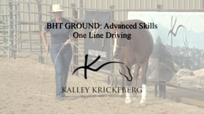Advanced Ground, On-Line: One Line Driving