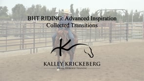 Advanced Riding: Collected Transitions