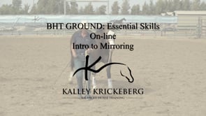 Essential Ground, On-Line: Intro to Mirroring