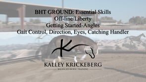Essential Ground, Off-Line: Getting Started with Liberty