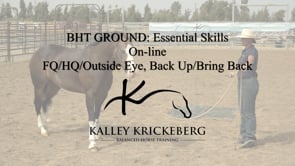 Essential Ground, On-Line: The very beginning; yielding the 4 quarters and drive/draw