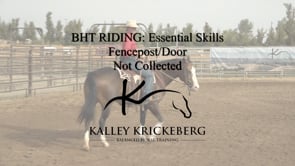 Essential Riding: Fence Post/Door