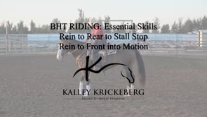 Essential Riding: Rein to Feet connection