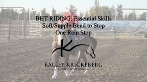 Essential Riding: One Rein Supple Stop, One Rein Engaged Stop, Rock -n- Roll, and 180/180