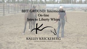 Intermediate Ground, On-Line: Introduction of Liberty Whips