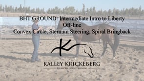 Intermediate Ground, Off-Line: Intro to Liberty control at larger distance