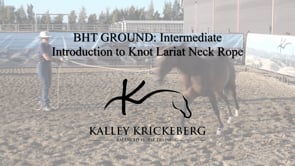 Intermediate Ground, On-Line: The Knot Neck Rope