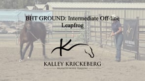 Intermediate Ground, On-Line: The Leap Frog