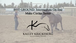 Intermediate Ground, On-Line: A Better Circle