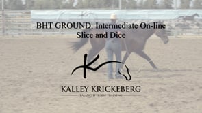 Intermediate Ground, On-Line: Slice -n-Dice