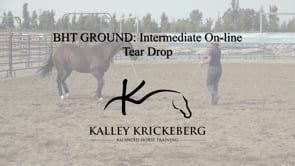 Intermediate Ground, On-Line: Teardrop