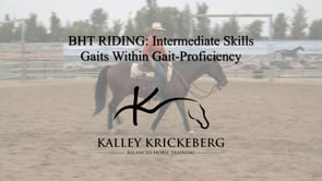 Intermediate Riding: Gaits within a Gait