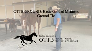 OTTB Transitional Training Ground Manners: Ground Tying