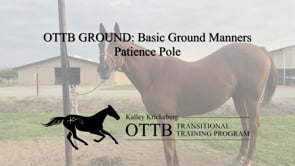OTTB Transitional Training Ground Manners: The Patience Pole