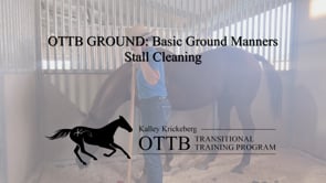 OTTB Transitional Training Ground Manners: Stall Cleaning