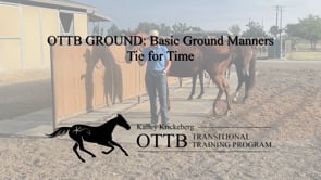 OTTB Transitional Training Ground Manners: Tie For Time
