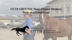 OTTB Transitional Training Ground Manners: Walk on a Loose Lead