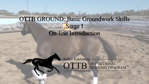OTTB Transitional Training: Introduction