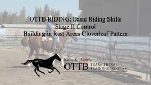 OTTB Transitional Training Stage 2 Riding, Control: Building Rest Areas into Life