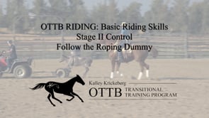 OTTB Transitional Training Stage 2 Riding BONUS, Control: Following a Roping Dummy
