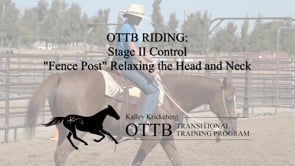 OTTB Transitional Training Stage 2 Riding, Control: Fence Post/Door