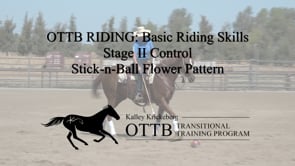 OTTB Transitional Training Stage 2 Riding, Control: The Stick-n-Ball Flower Pattern