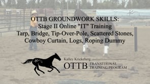 OTTB Transitional Training Stage 2 Ground, On-Line: "IT" Training