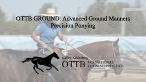 OTTB Transitional Training Stage 3 Riding Bonus Skill: Precision Ponying