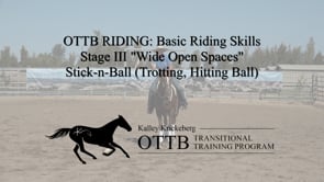 OTTB Transitional Training Stage 3 Function Riding, W.O.S: Stick -N- Ball