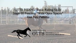 OTTB Transitional Training Stage 3 Function Riding, W.O.S: Trot Poles