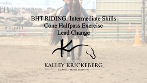 Intermediate Riding: The 4 cone Halfpass Lead Change