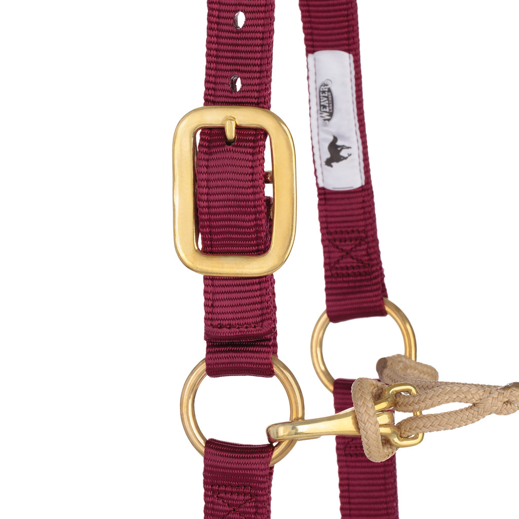 Kalley Krickeberg Nylon & Rope Combination Horseman's Halter
